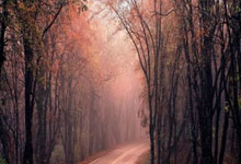 22-23賽季英超聯賽第17輪比賽集錦.