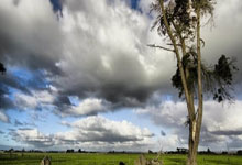 2023日職聯賽季前瞻:川崎前鋒 6年內贏得4次 去年戰敗後鬼木達決心使球隊重回榜首.