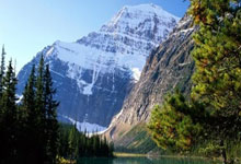 阿森納主場球衣設計尷尬錯誤!阿迪達斯緊急下架重新印刷!.